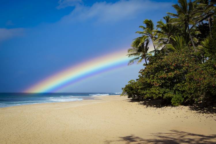 rainy day on oahu