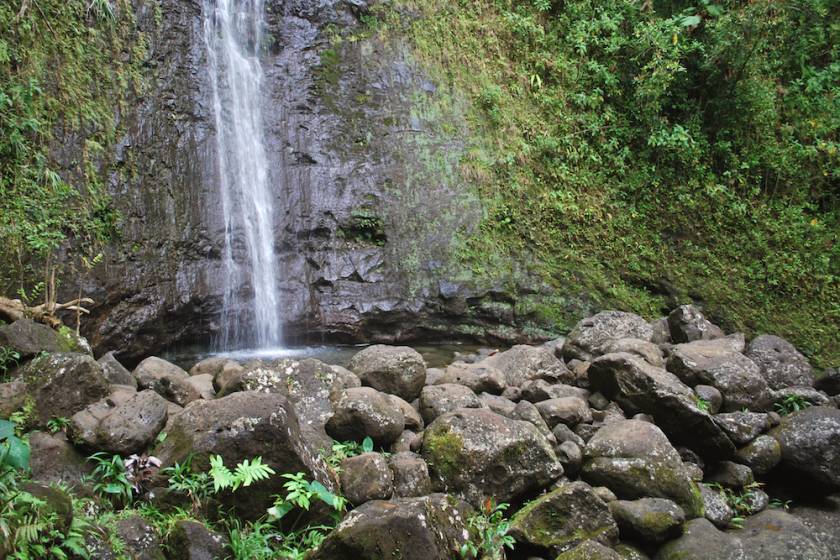 mānoa falls trail na ala hele honolulu hi